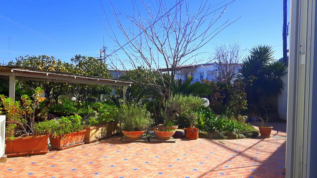 Holiday Apartments Lacco Ameno  Bagian luar foto