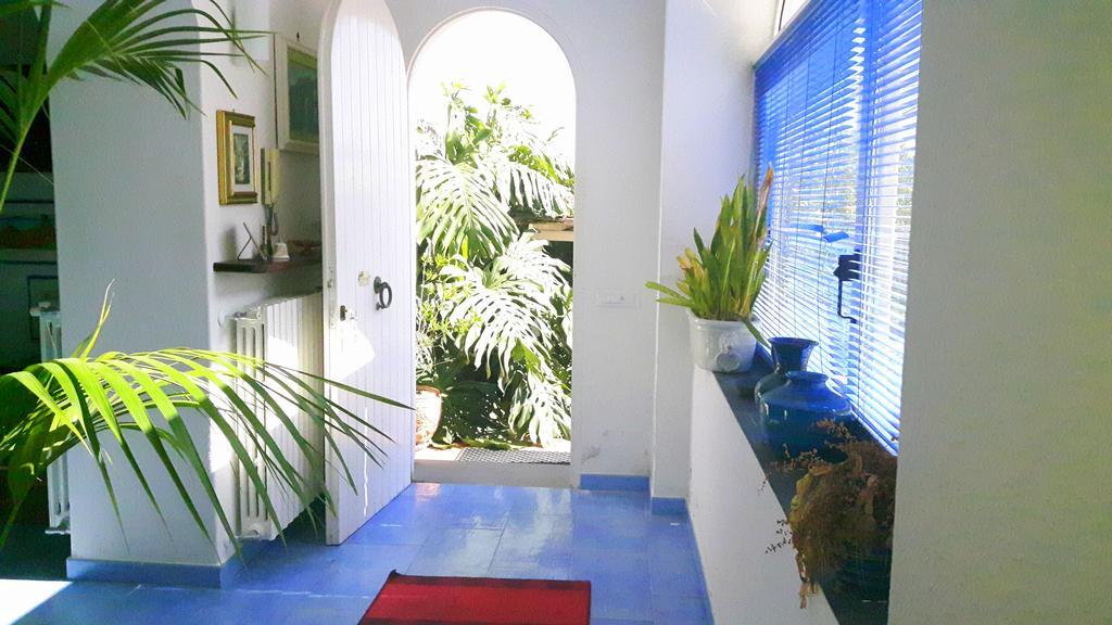 Holiday Apartments Lacco Ameno  Bagian luar foto
