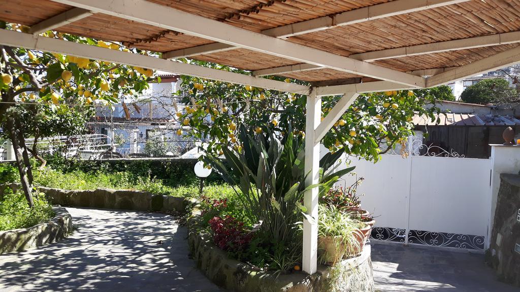 Holiday Apartments Lacco Ameno  Bagian luar foto